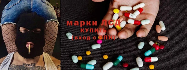 сатива Волосово