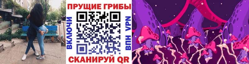купить наркотик  Нижнекамск  Галлюциногенные грибы Psilocybine cubensis 